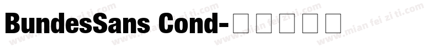 BundesSans Cond字体转换